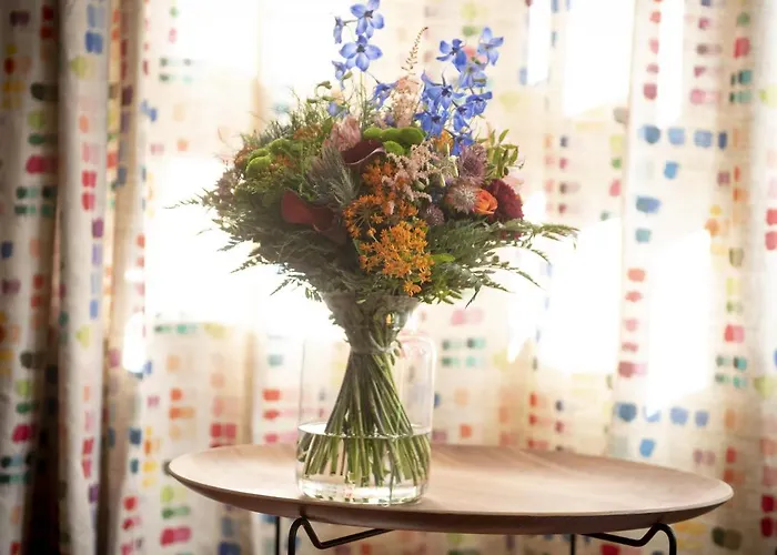 Aletxo's San Sebastián