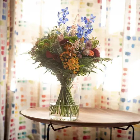 Aletxo's San Sebastian